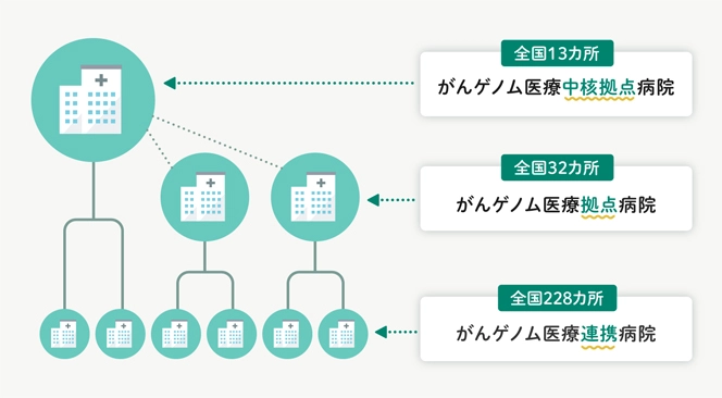 がんゲノムプロファイリング検査の概要